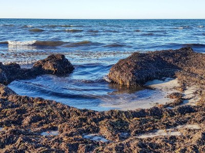 Holiday house 5 star holiday home in Vig-By Traum - Outdoor photo 17