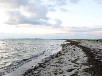 Holiday house 5 star holiday home in Vig-By Traum - Outdoor photo 20