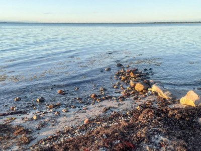 Holiday house 5 star holiday home in Vig-By Traum - Outdoor photo 27