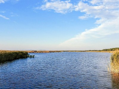 Holiday house 5 star holiday home in Vig-By Traum - Outdoor photo 34