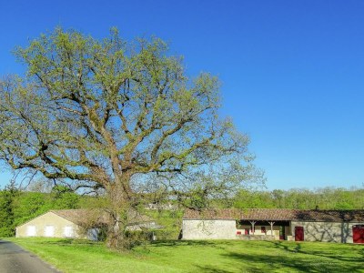 Holiday house Ferienhaus bei Bergerac Weinbergen - Outdoor photo 6