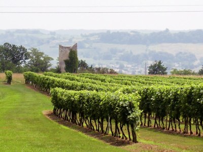 Holiday house Ferienhaus bei Bergerac Weinbergen - Environment photo 25