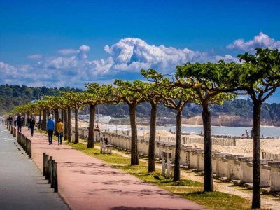 Holiday house Ferienhaus bei Bergerac Weinbergen - Environment photo 31