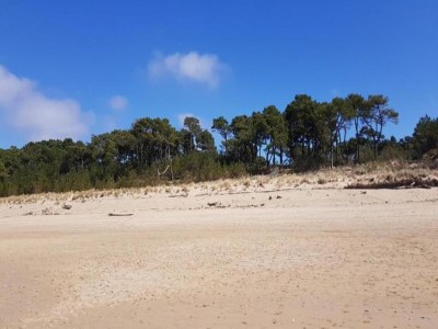 Holiday house Ferienhaus bei Bergerac Weinbergen - Environment photo 36