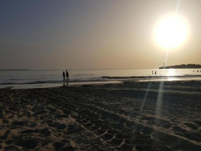 Holiday house Ferienhaus bei Bergerac Weinbergen - Environment photo 39