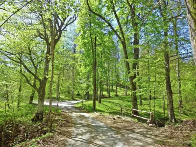 Villa Villa in Pistoia with Pool and Mountain Views - Environment photo 25