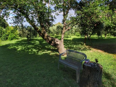 Apartment Sunny Apartment with Pool - Outdoor photo 18