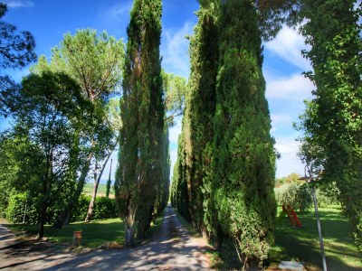 Apartment Sunny Apartment with Pool - Outdoor photo 19