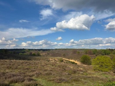 Holiday park Romantic Boathouse Getaway in Lathum - Environment photo 9