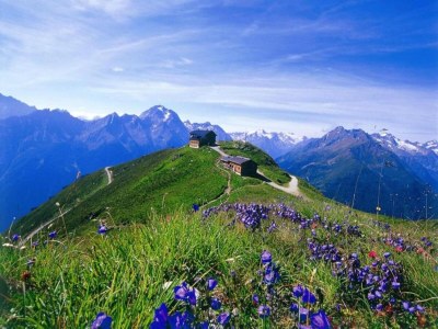 Holiday house Apartment in Ramsau near Ski Slopes - Environment photo 26