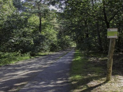 Holiday park Tiny House in Brabant with Cozy Terrace - Environment photo 15