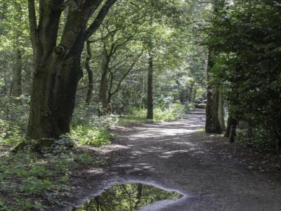 Holiday park Apartment in Eindhoven near City Center - Environment photo 12