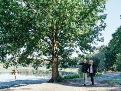 Holiday park Apartment in Eindhoven near City Center - Environment photo 16