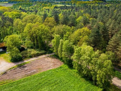 Holiday park Apartment in Eindhoven near City Center - Environment photo 20
