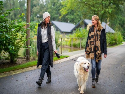 Holiday park Apartment in Eindhoven near City Center - Outdoor photo 36