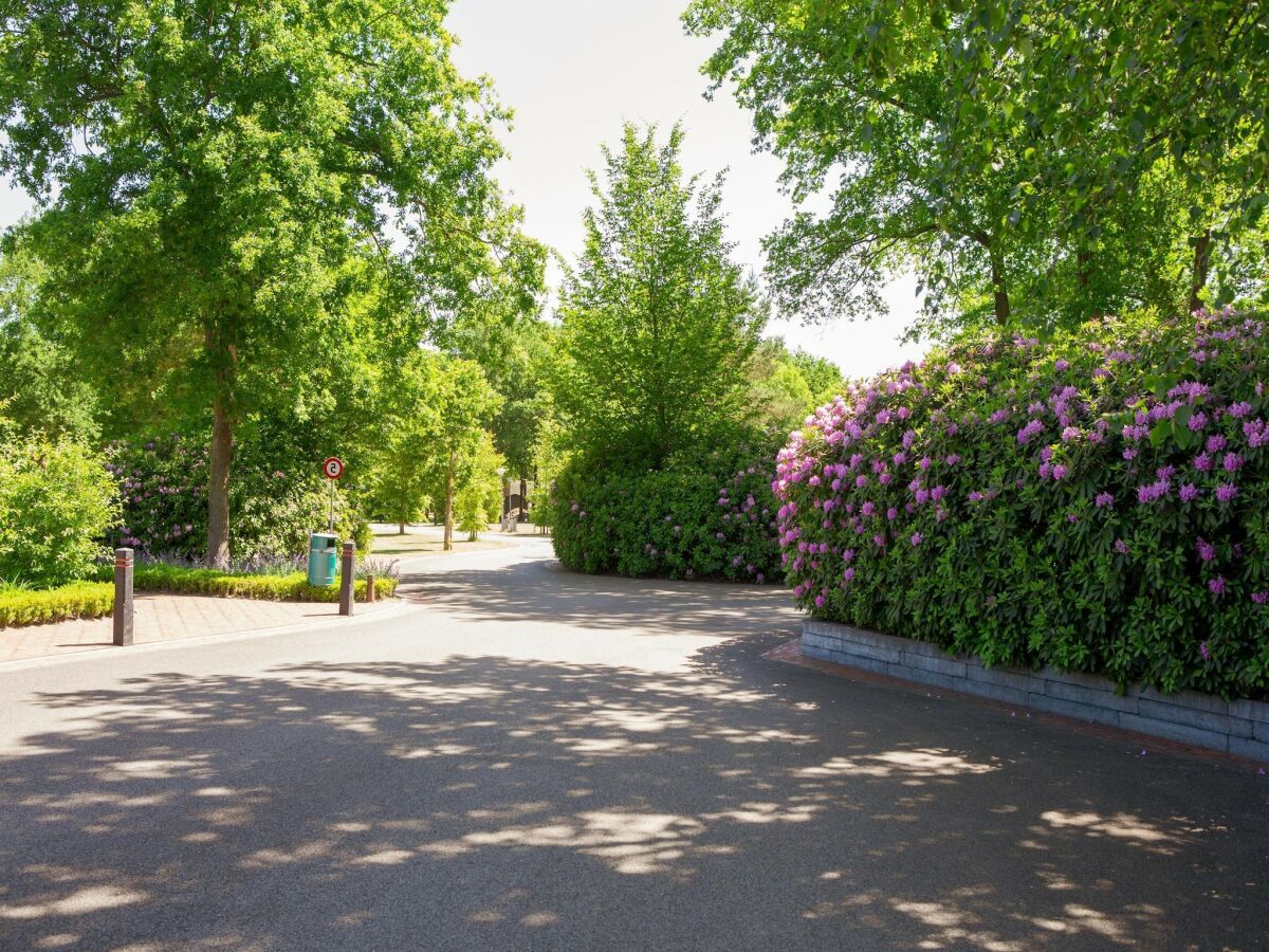 Holiday park Lodge in Brabant mit überdachter Terrasse - Outdoor photo 2