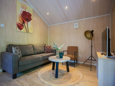 Holiday park Lodge in Brabant mit überdachter Terrasse - Features photo 9