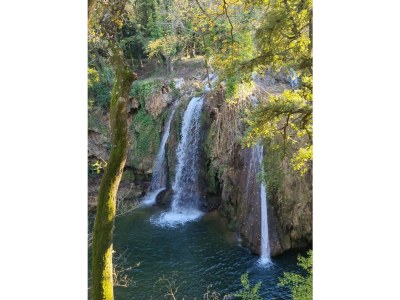 Holiday house Wildrose with Apartment - Environment photo 37