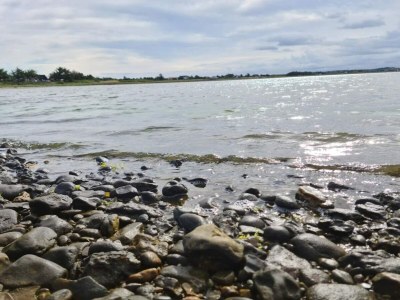 Holiday house 7 person holiday home in Vestervig-By Traum - Outdoor photo 39