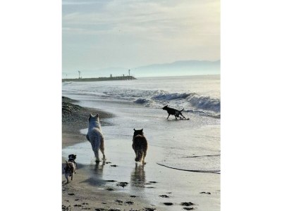 Villa Deluxe Villa + private Pool, near Beach - Environment photo 5