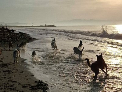 Villa Deluxe Villa + private Pool, near Beach - Environment photo 6