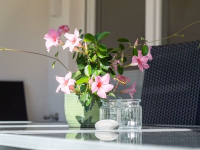 Apartment Weinberg.Holiday - Outdoor photo 31