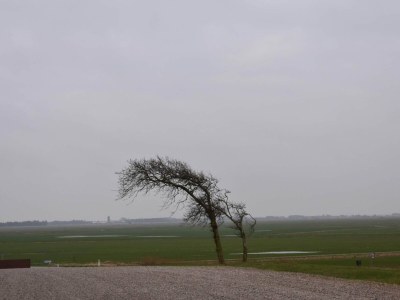 Holiday house 6 Personen Ferienhaus in Skærbæk-By Traum - Outdoor photo 25