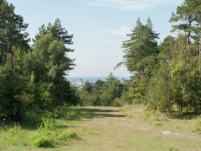 Holiday house Ferienhaus in Bergen nahe Nordseestrand - Environment photo 27