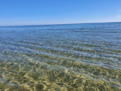 Holiday house 7 person holiday home in Jerup-By Traum - Outdoor photo 8