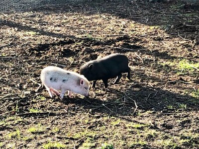 Holiday house 5 star holiday home in Grindsted-By Traum - Outdoor photo 2