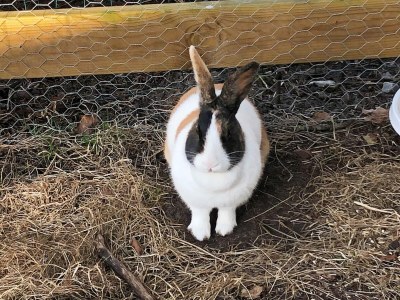 Holiday house 5 star holiday home in Grindsted-By Traum - Outdoor photo 19