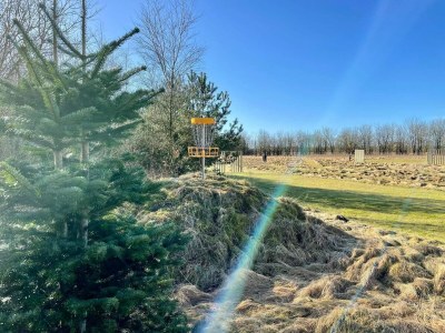 Holiday house 5 star holiday home in Grindsted-By Traum - Outdoor photo 41