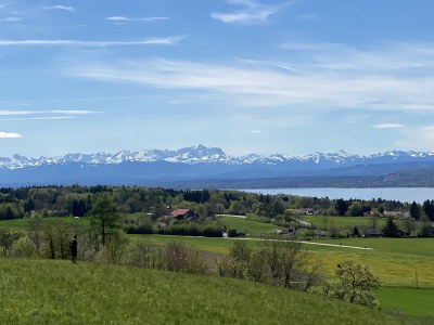 Holiday apartment Traumurlaub am Ammersee - Environment photo 21