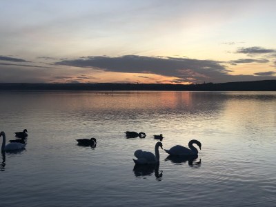 Holiday apartment Traumurlaub am Ammersee - Environment photo 26