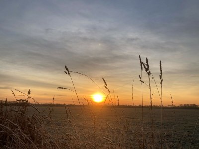 Holiday apartment DO43 't Groentje 9A - Environment photo 38