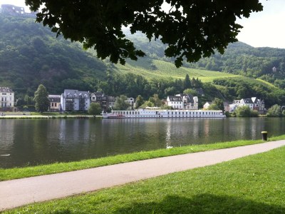 Holiday apartment "Mosel Direkt" - Outdoor photo 5