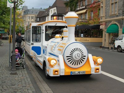 Holiday apartment "Mosel Direkt" - Environment photo 23