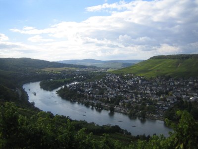 Holiday apartment "Mosel Direkt" - Environment photo 24