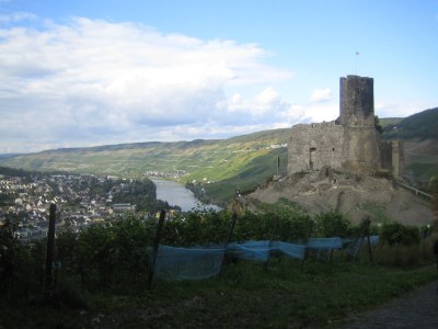 Holiday apartment "Mosel Direkt" - Environment photo 25
