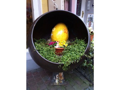 Holiday apartment "Mosel Direkt" - Environment photo 29