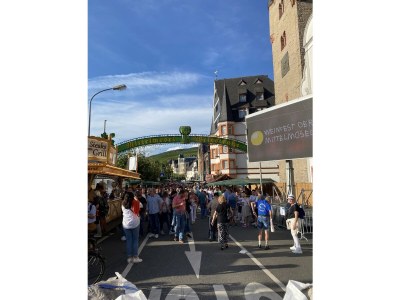 Holiday apartment "Mosel Direkt" - Environment photo 30