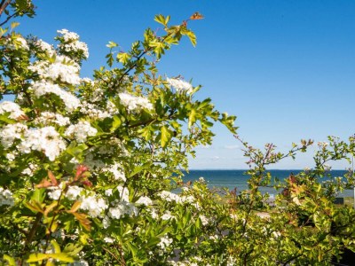 Holiday house Meeresgluck in Hejlsminde -- By Traum Ferienwohnungen - Outdoor photo 9