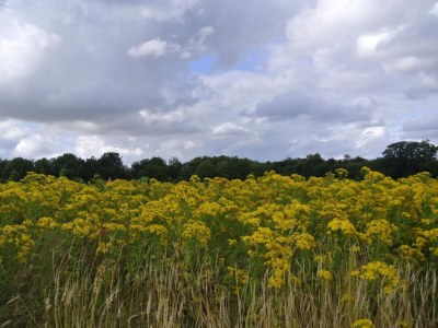 Holiday house Meeresgluck in Hejlsminde -- By Traum Ferienwohnungen - Outdoor photo 12