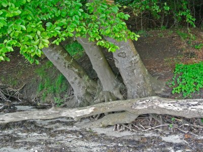 Holiday house Meeresgluck in Hejlsminde -- By Traum Ferienwohnungen - Outdoor photo 24