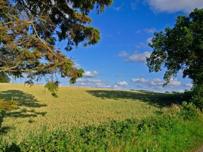 Holiday house Meeresgluck in Hejlsminde -- By Traum Ferienwohnungen - Outdoor photo 31