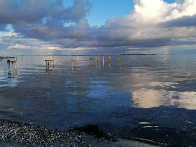 Holiday house 4 Personen Ferienhaus in Hejls-By Traum - Outdoor photo 37