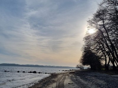Holiday house 4 Personen Ferienhaus in Hejls-By Traum - Outdoor photo 38