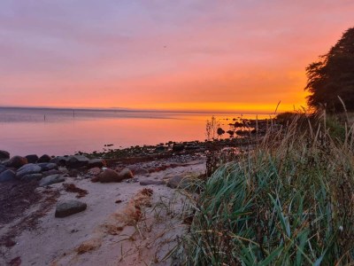 Holiday house 4 Personen Ferienhaus in Hejls-By Traum - Outdoor photo 39