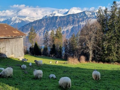 Holiday apartment No title - Outdoor photo 12