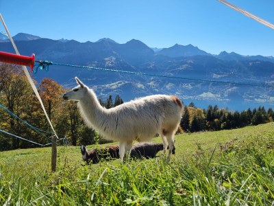 Holiday apartment No title - Environment photo 31